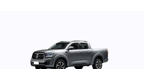 Gwm Poer P30
